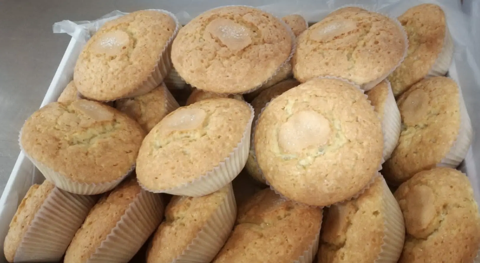 081 MAGDALENAS ACEITE DE OLIVA C-2K