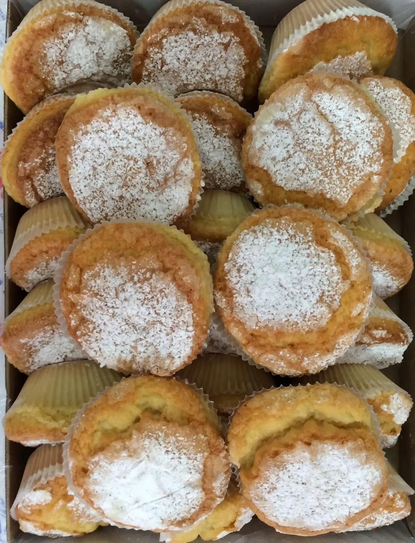 082 MAGDALENAS DE NATA C-2K