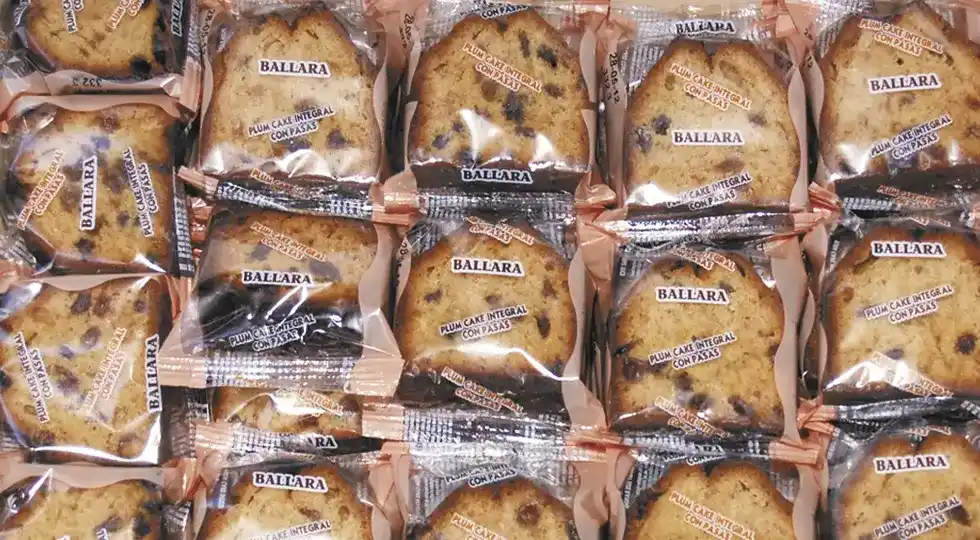 096 1X1 CAKE INTEGRAL SIN AZUCAR C-3K