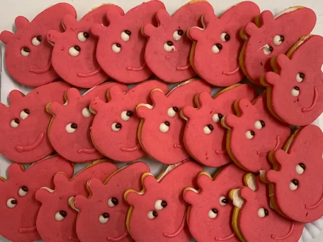 1008 DIBUPASTAS PINKY C 14UND