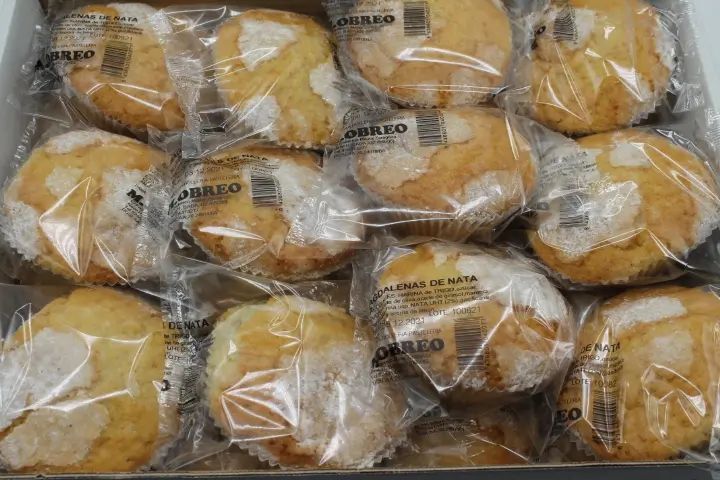 113 1X1 MAGDALENAS SIN AZUCAR MALTITOL C 2K