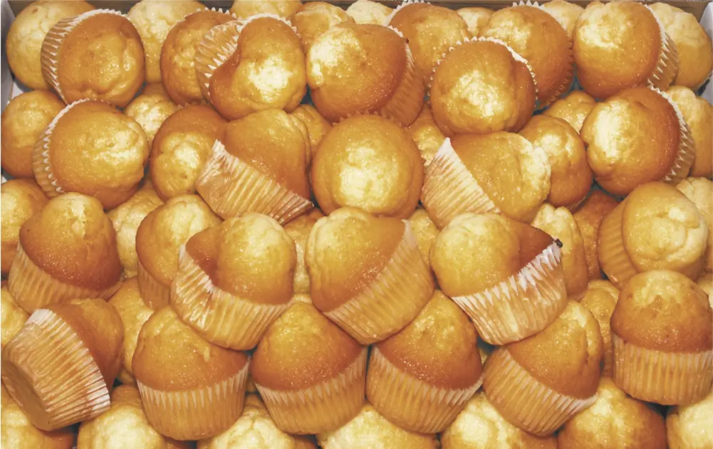 143 MAGDALENAS CASERAS C-3K