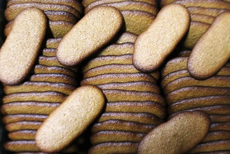 171 LENGUAS INTEGRAL FRUCTOSA C-2,5K