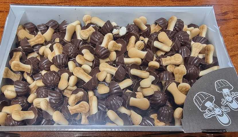 002 GALLETA SETAS SABOR CHOCOLATE C1 K