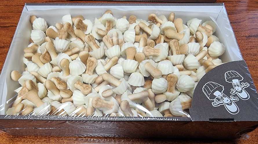 013 GALLETA SETAS SABOR CHOCO BLANCO C 1K